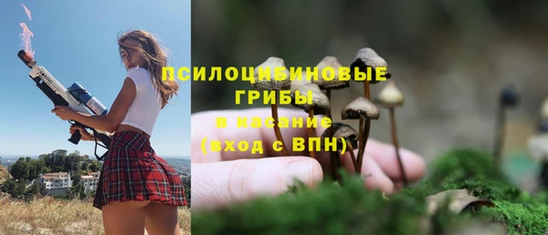 ешки Алзамай